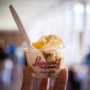 Lappert's+Hawaii+food+allergy+friendly+ice+cream+Honolulu.png