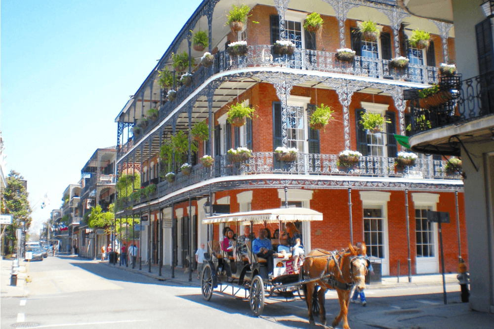 New Orleans Food Allergy Friendly City