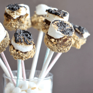 s'mores (8).png